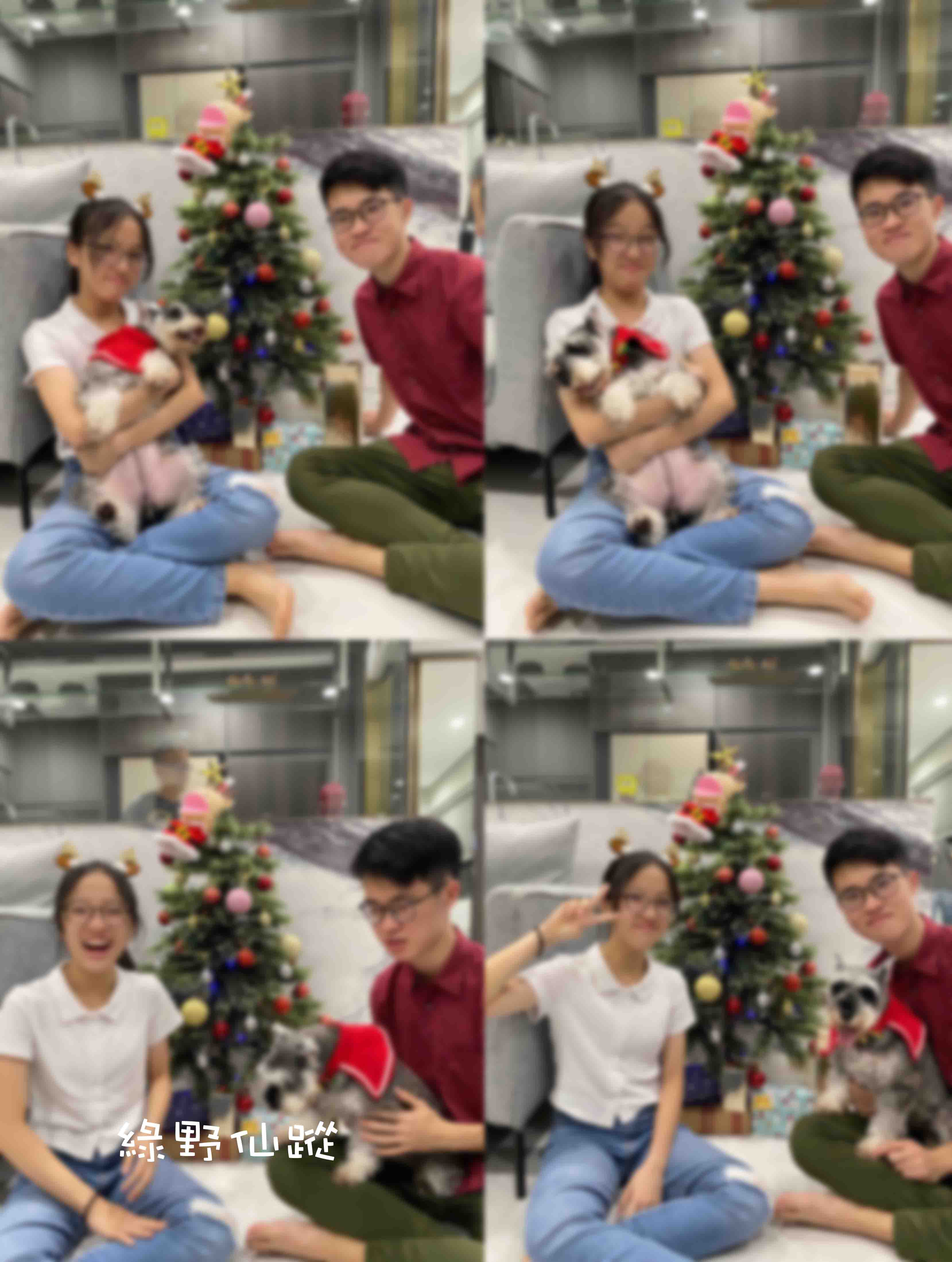 221226Panorama1r