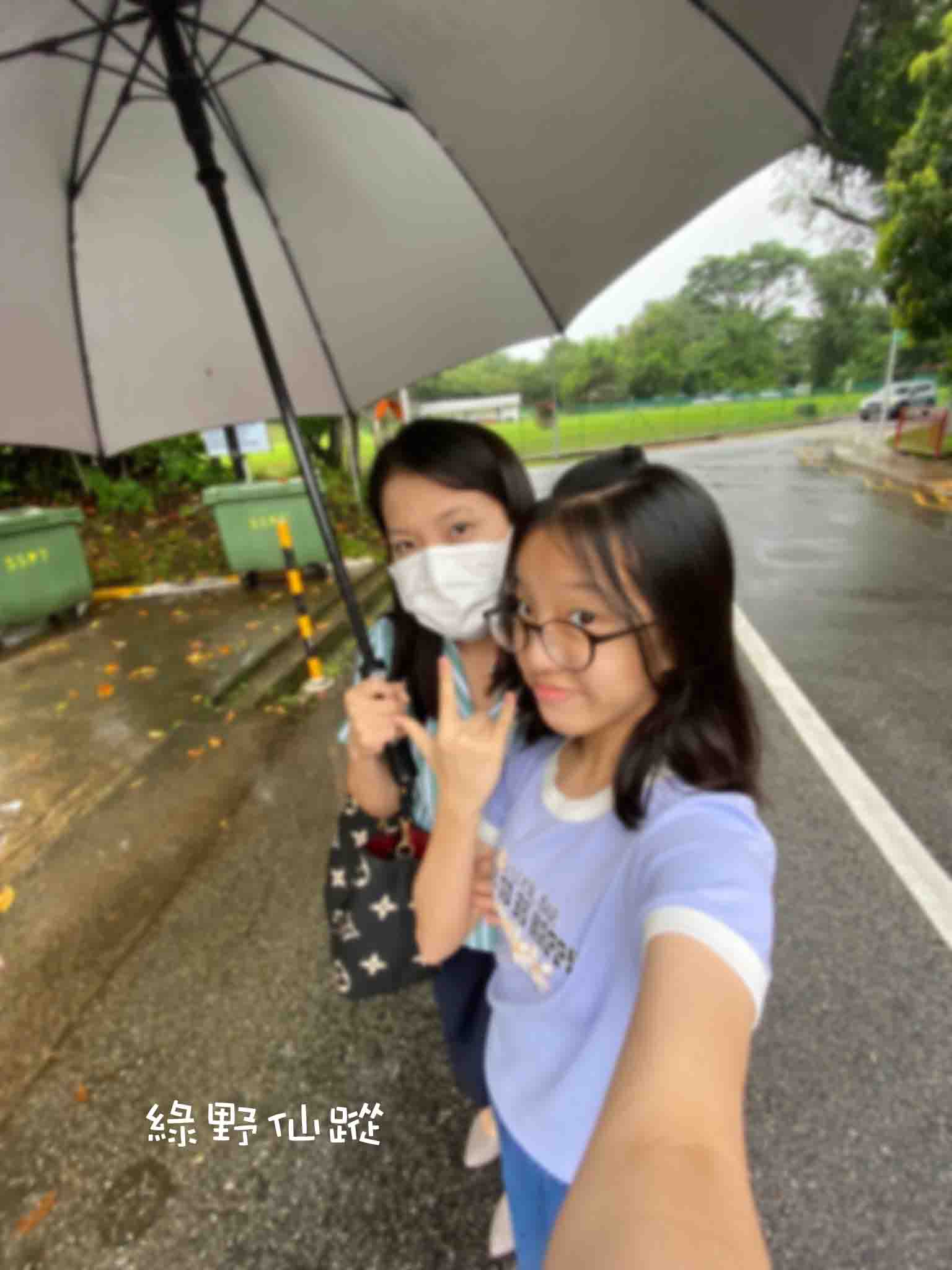 WEBM5381r