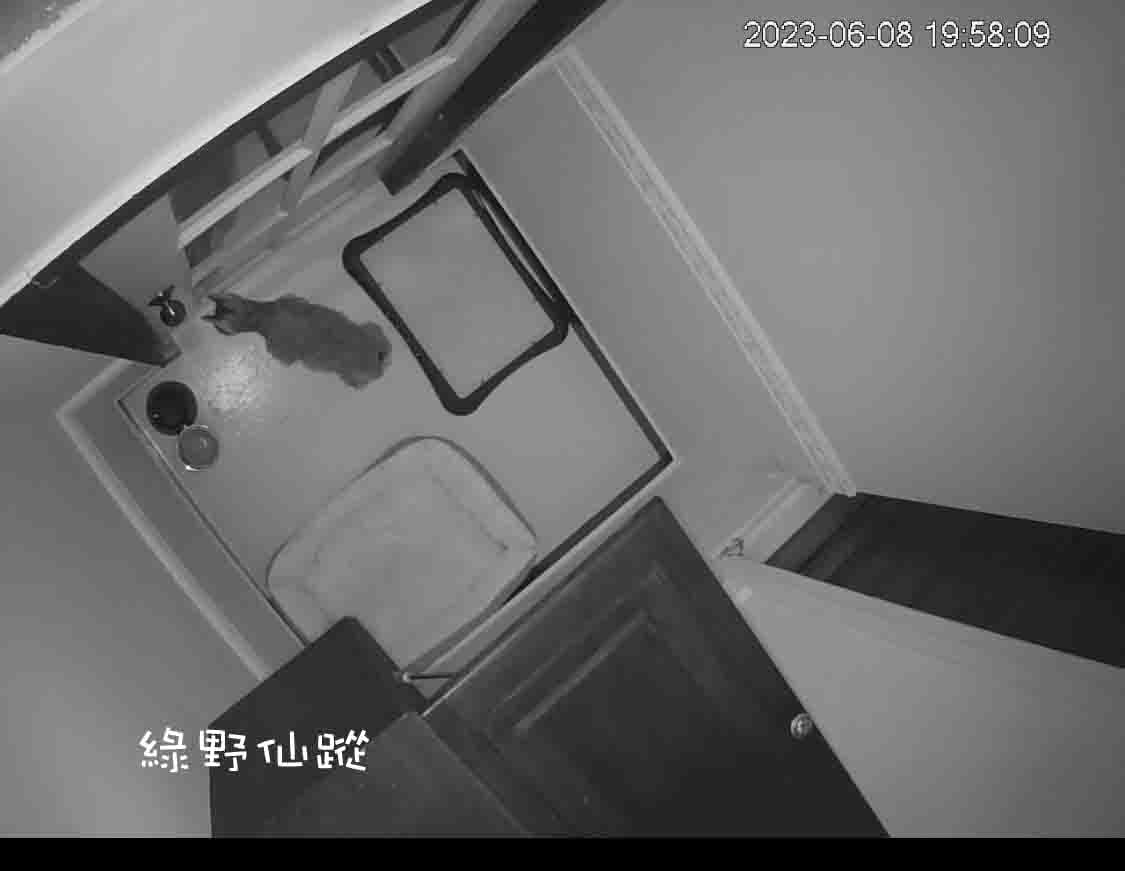 GGcctv1r