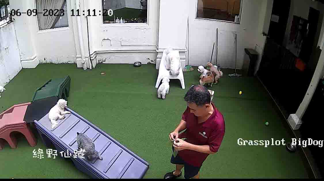 GGcctv2r