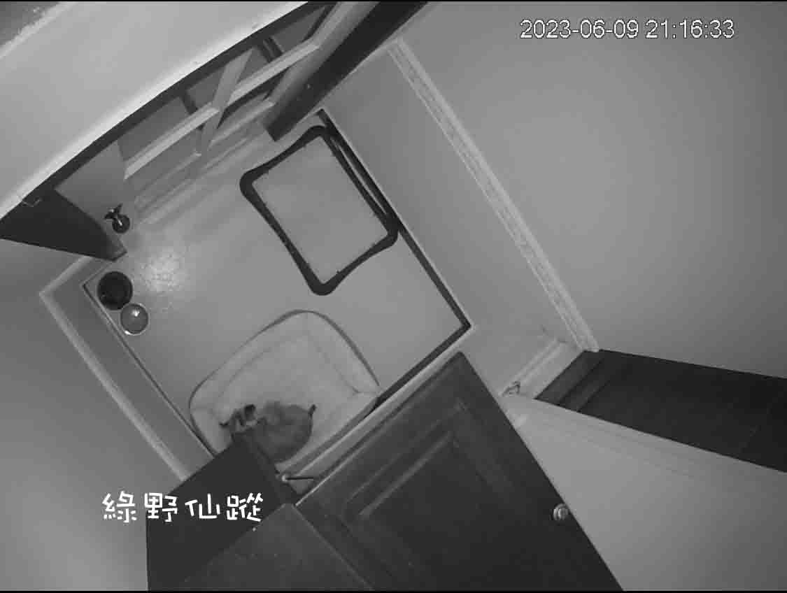 GGcctv3r