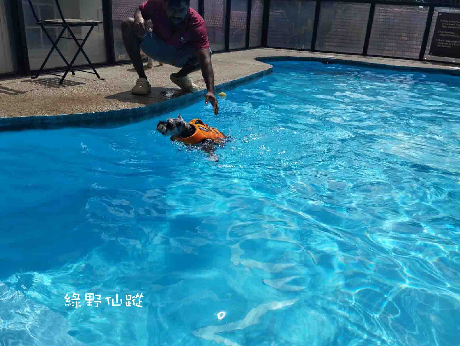 GGswim0r